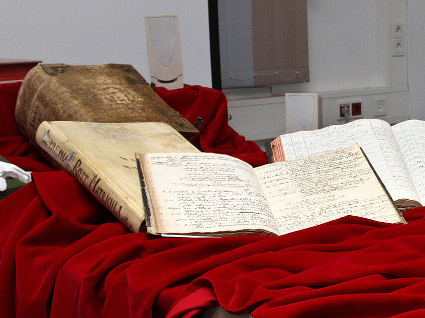 Alte, handbeschriebene Bücher liegen auf einer roten Samtdecke